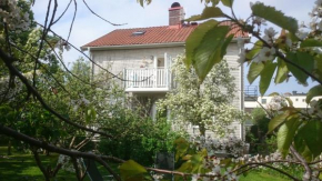 Ljust boende, egen ingång och trädgård i centrum in Varberg